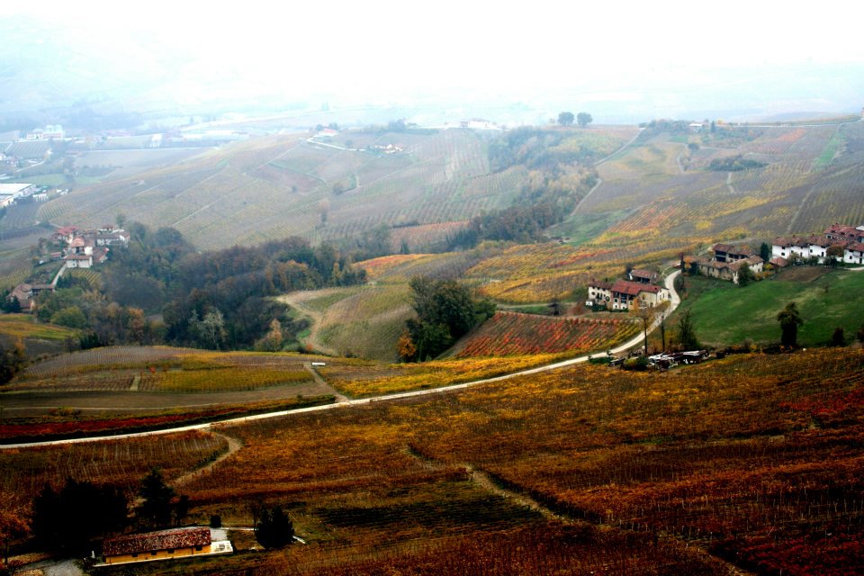 390944_2521452682982_525554988_n