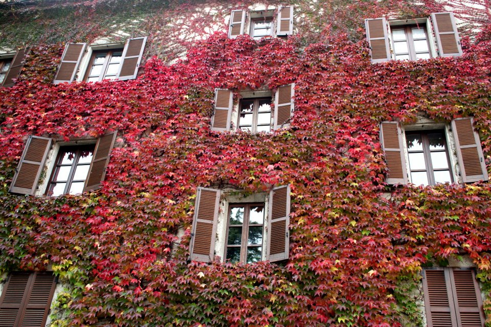 392876_2521420562179_2132749333_n