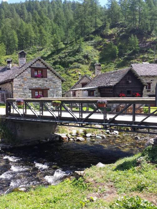 14045614_10209101807289662_7497634835621824559_n