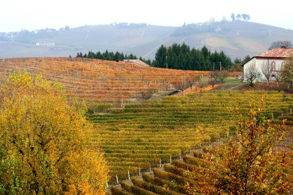 LANGHE 2