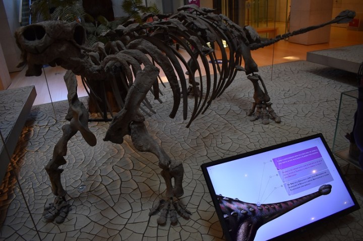 MUSE-TRENTO-DINOSAURO