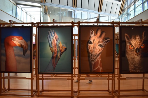 MUSE-TRENTO-MANIMALI