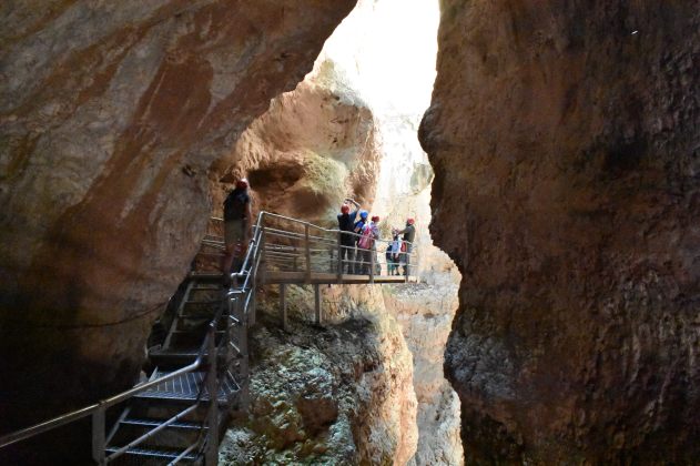 PARCO-FLUVIALE-NOVELLA-7