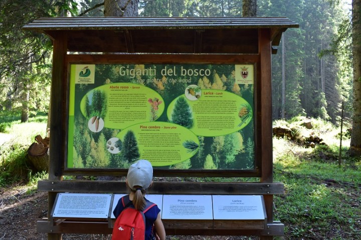 PARCO-PANEVEGGIO-PANNELLO