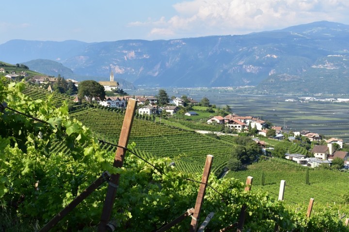STRADA-DEL-VINO-ALTO-ADIGE-CORTACCIA