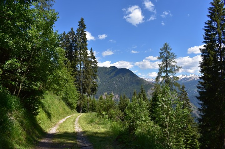 TRENTINO-PANORAMA-MONTAGNE-2