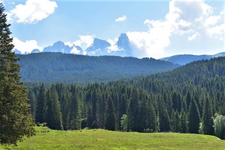 TRENTINO-PARCO-PANEVEGGIO-PALE-SAN-MARTINO