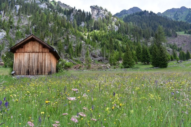 TRENTINO-VAL-DI-FASSA-VAL-SAN-NICOLO-FIENILE