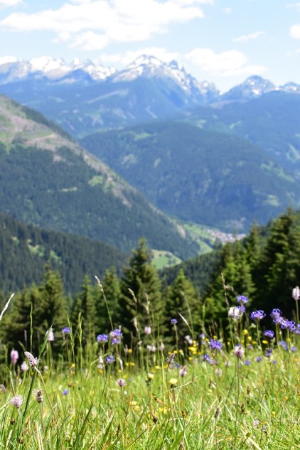 TRENTINO-VAL-DI-FIEMME-LATEMAR-4