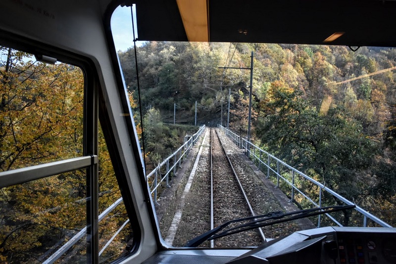 Il Treno del Foliage passa tra i boschi che si colorano dei toni autunnali