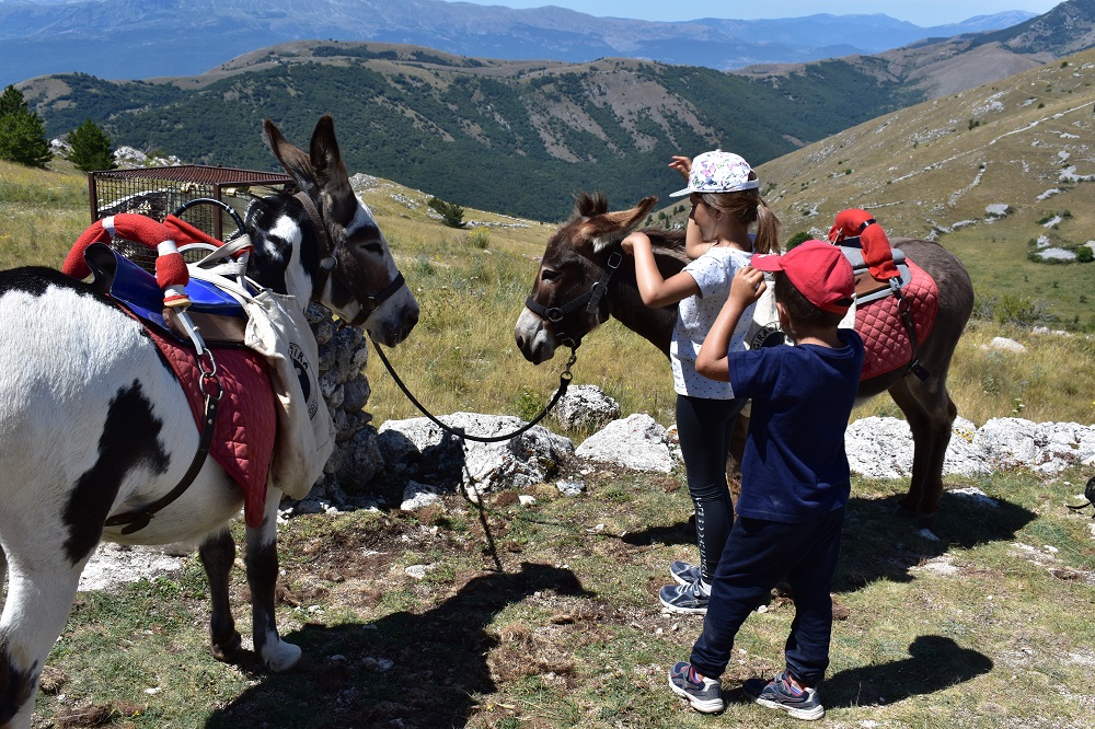 Trekking con asinelli nel Parco del Gran Sasso