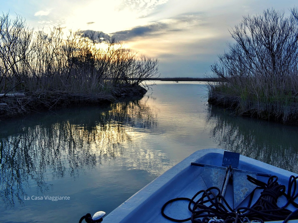 Esperienza da non perdere in Veneto: Escursione in barca sul Delta del ...