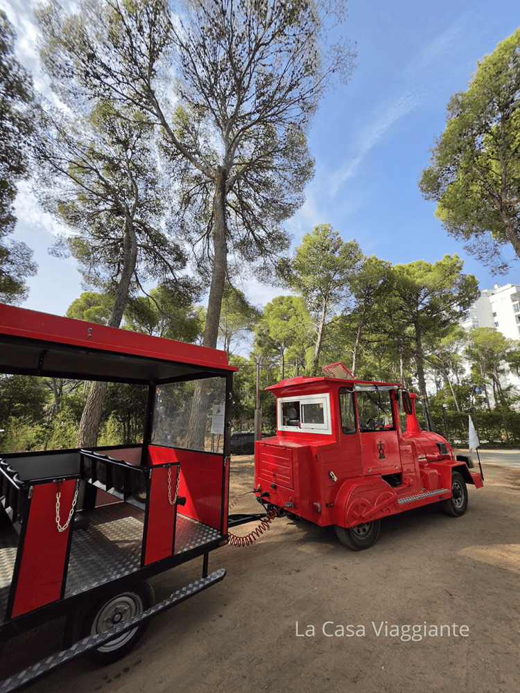 Un trenino rosso con un vagone attaccato, circondato da alberi verdi sotto un cielo azzurro.